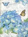 Garden Hydrangea I