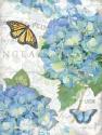 Garden Hydrangea II