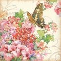 Geranium & Butterflies
