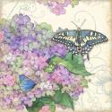 Hydrangea & Butterflies