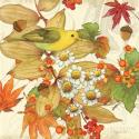 Flora & Tanager I
