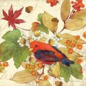 Flora & Tanager II