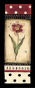 Dutch Tulips II