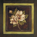 Magnolia I