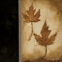 Maple Leaves 2