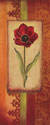 Mediterranean Tulip II