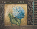 Botanique I