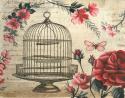 Birdcage & Blossoms