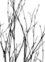 Dancing Branches III