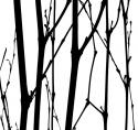 Dancing Branches VI