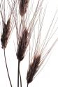 Wheat II