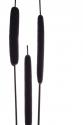 Cat Tails I