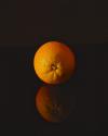 Orange Reflections