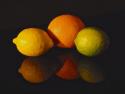 Citrus Reflections