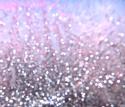 Pink Glitter