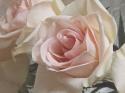 Summer Romance I