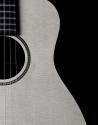 Guitar Curves