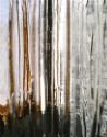 Cracked Glass I