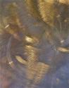 Gold Brushed Metal II