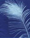Indigo Feathers III