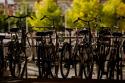 Bicycle Silhouettes II
