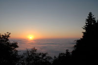 Sunset Silhouette I