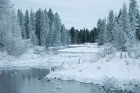 Winter on the Lake II