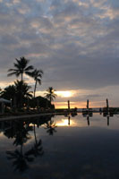 Tropical Paradise