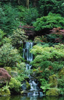 Japanese Garden