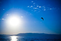 Flathead Lake