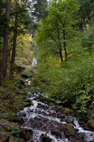 Wahkeena Falls III