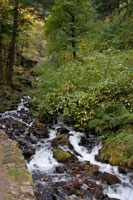 Wahkeena Falls IV
