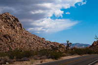 Joshua Tree National Park II
