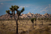 Rock Formations II
