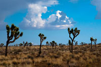Blue Sky II