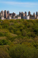 Central Park I