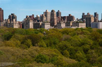 Central Park II