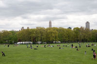 Spring in Central Park