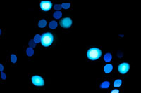 Blue Bokeh III