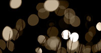 Bokeh Grass II