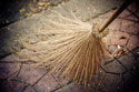 Thai Broom I