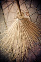 Thai Broom II