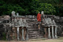Elephant Terrace II