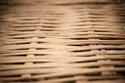 Bamboo Weave