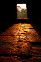 Morning Light II