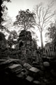 Ancient Ta Prohm III