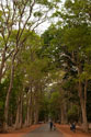 Road to Angkor