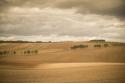 French Countryside I