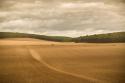 French Countryside II