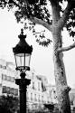 Parisian Lightposts BW II